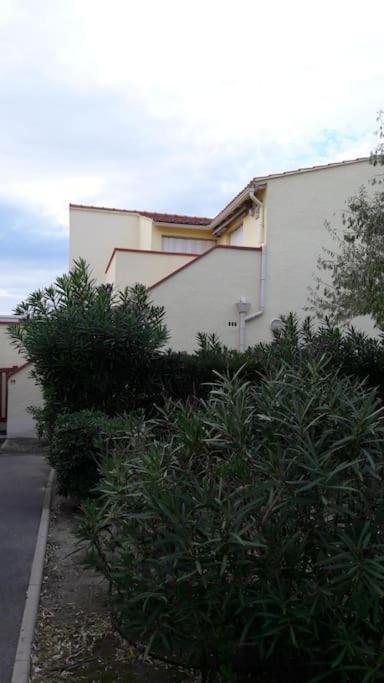 Appartement, Terrasse Barcares, Proche Marche De Noel Le Barcarès Exterior foto
